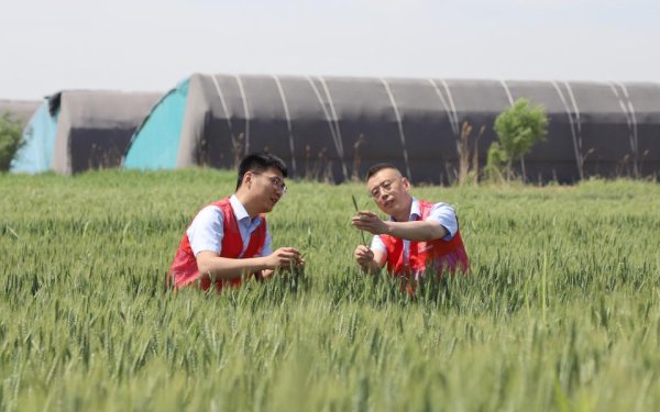 新疆配资公司 利津农商银行：“无感授信、有感服务”助力乡村振兴